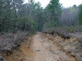 Bear Trail whe