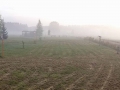 Morgennebel auf dem Campingplatz Leiputrija