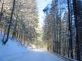 L 14 im Schnee4 whe_bearbeitet-1