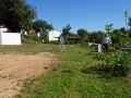 Plot-36-3-whe-1