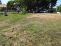 Plot-36-5-whe-1