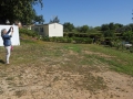 Plot-36-8-whe-1