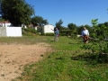 Plot36-2-whe-1