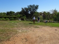 Plot361-whe-1