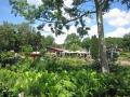 Blick zum Restaurant sab