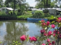 Parzellen am Weiher whe