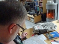 Wolf studiert whe_bearbeitet-1