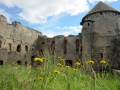 Burg mit Blumen Sabof