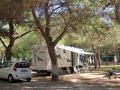 Fort Phoenix sabof