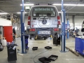 Bergziege Werkstatt4 wheofwzwwot