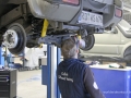 Bergziege Werkstatt5 wheofwzwwot