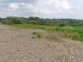 Pano Bergziege mit Memel2 wheof