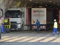 Wolf auf dem Autodeck sab
