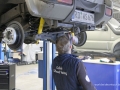Bergziege Werkstatt5 wheofwzwwot
