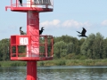 Bake Stettin (182)_bearbeitet-1