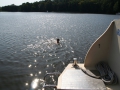 Schwimmen2 sab_bearbeitet-1