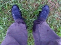 Feucht im Gras wheof
