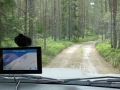 Navigationsgeraet sab