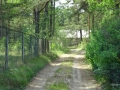 Rauer Weg sab