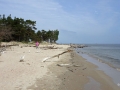 Sab am Strand whe_bearbeitet-1