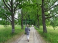 Sabine in Allee whe