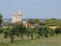 Turm und Gelaende sabof