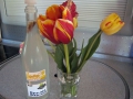 Birkensaft und Tulpen sab