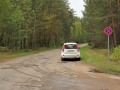 Eidermediacar im Wald sabof