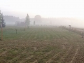 Pano Morgennebel whe 200515_bearbeitet-1