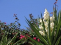 Natur10 sabof