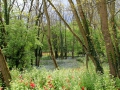 Rathenow1of.jpg