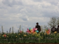 Rathenow3of.jpg