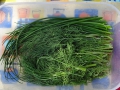 Schnittlauch Dill wheof