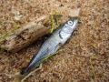 Maritimes Stillleben am Strand