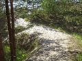 Weg zum Strand whe_bearbeitet-1